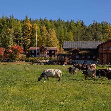 Romenstad Hytter Rendalen Eksteriør billede